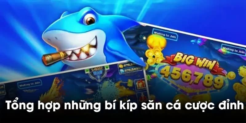 Tổng hợp những bí kíp săn cá cược đỉnh